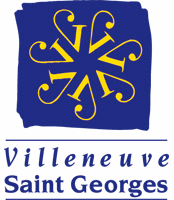 VSG logo.gif